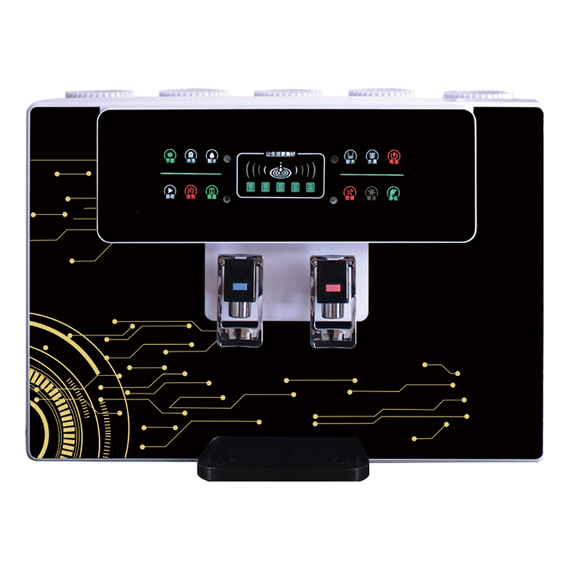 RO-11 (Voice Broadcast) Ice and Hot All-in-One RO Water Purifier