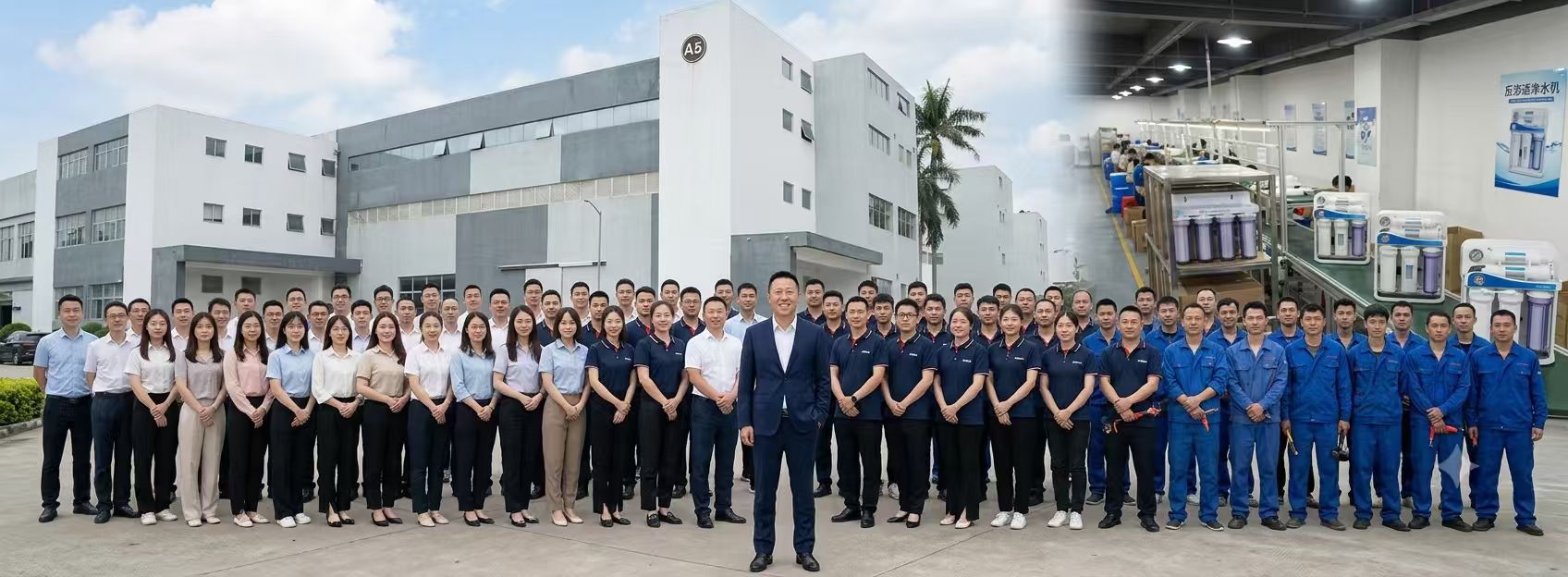 About Company